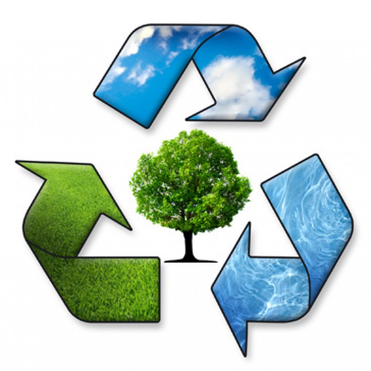 Environmental Policy