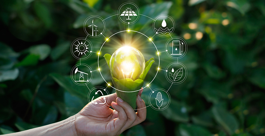 Sustainability
