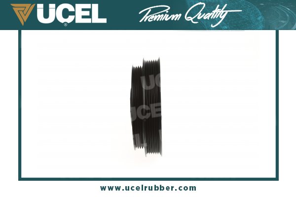								6C1Q6B319CC							
